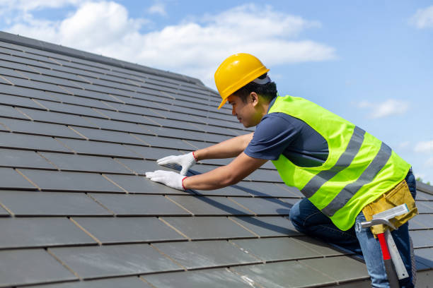 Best Roof Gutter Cleaning  in Lake Pocotopaug, CT